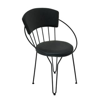 Akın Lüx Modern Metal Sandalye - Siyah