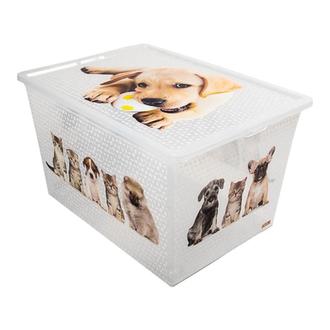 Qutu Lighte Box Cat and Dog Oyuncak Kutusu - 50 lt