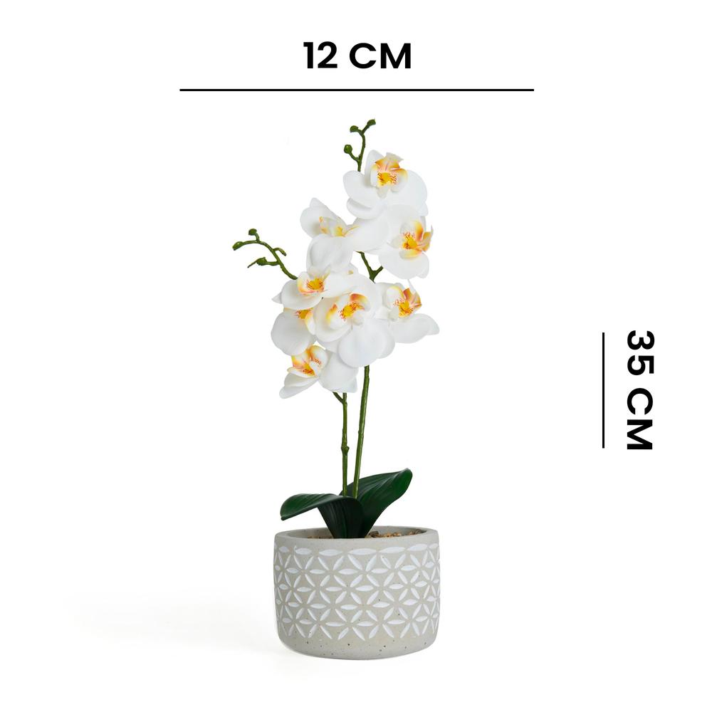  Objevi Beton Saksıda Real Touch Orkide - Beyaz - 12x35 cm