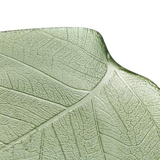Q-Art Leaf Dekoratif Tabak - Asorti_2